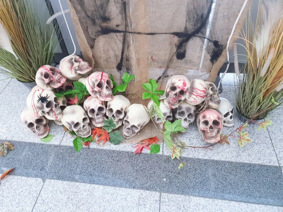 KakaoTalk_20201111_121010533_06.jpg?type=w1