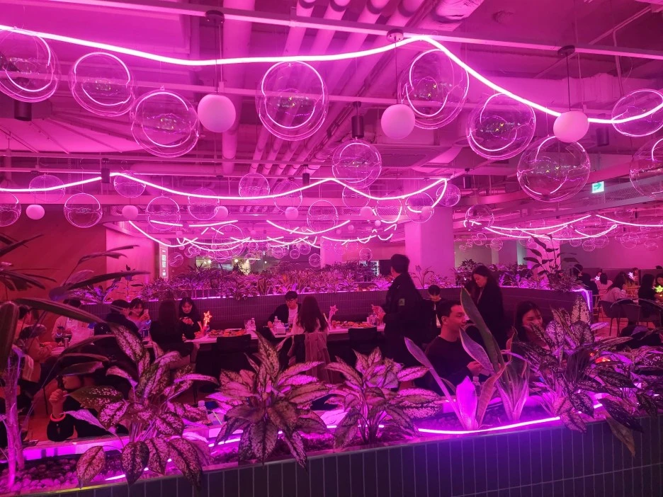 %ED%9A%8C%EC%82%AC%EC%86%A1%EB%85%84%ED%9A%8C_(13).jpg?type=w1