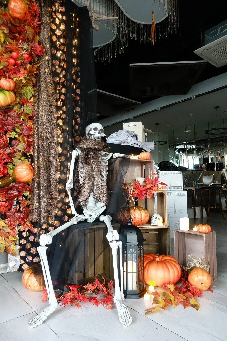 DSC06663.JPG?type=w1