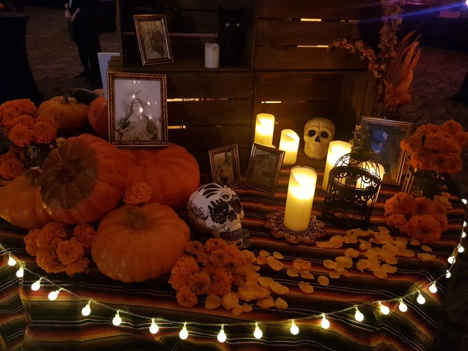 20181030_184444.jpg?type=w1