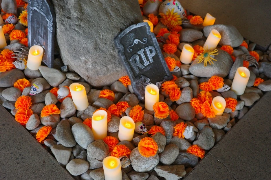 %ED%95%A0%EB%A1%9C%EC%9C%88%ED%8C%8C%ED%8B%B0_(1).jpg?type=w1