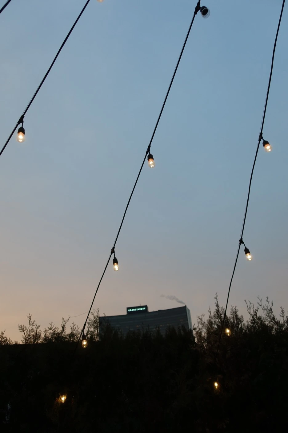 DSC08118.JPG?type=w1