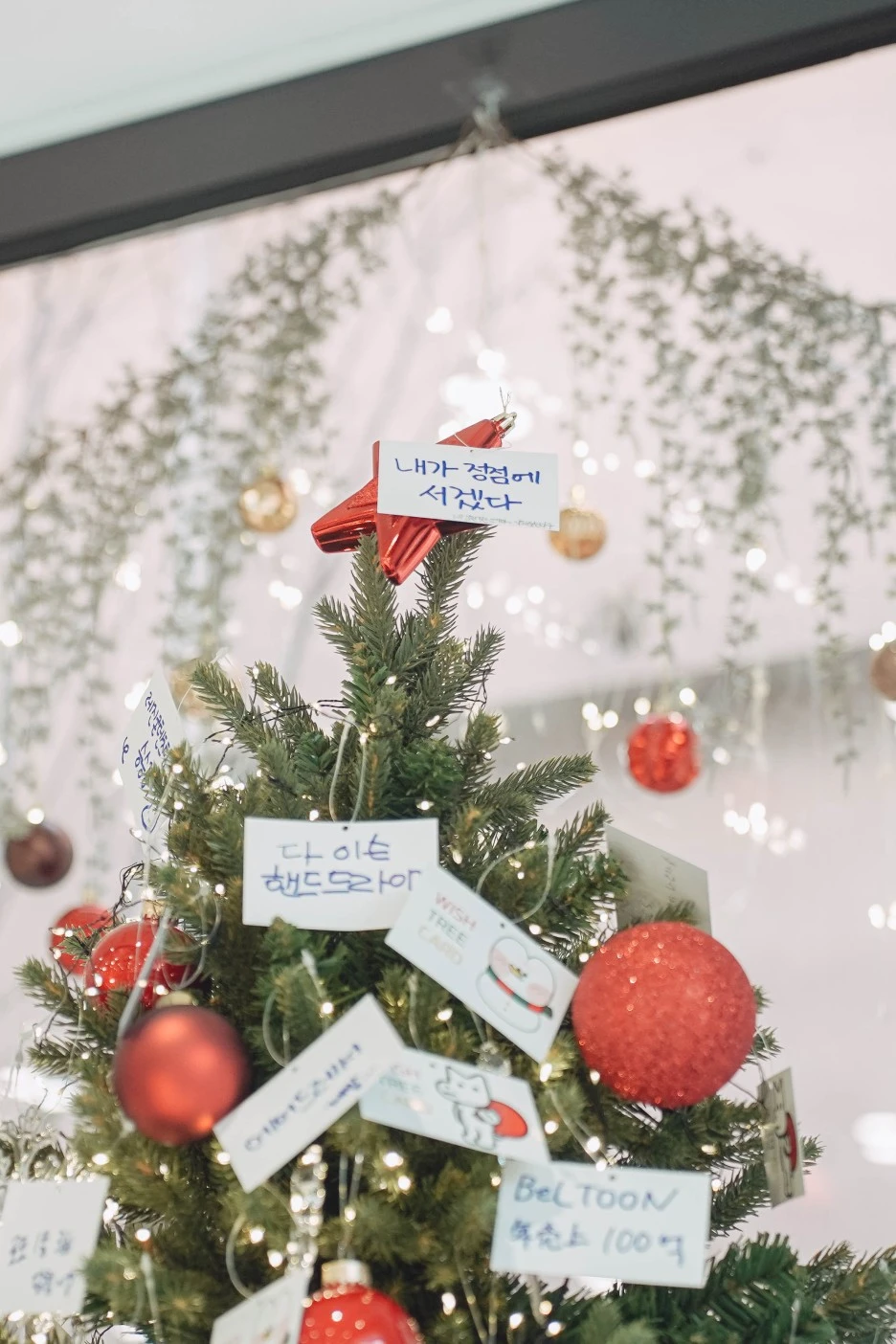 A7M00208.jpg?type=w1