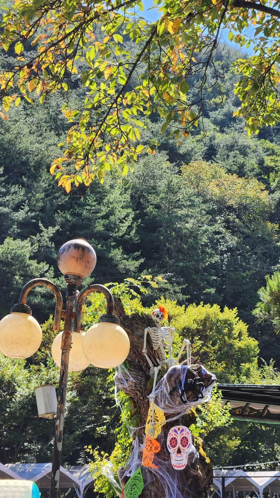 %ED%95%A0%EB%A1%9C%EC%9C%88%ED%8C%8C%ED%8B%B0_(11).jpg?type=w1