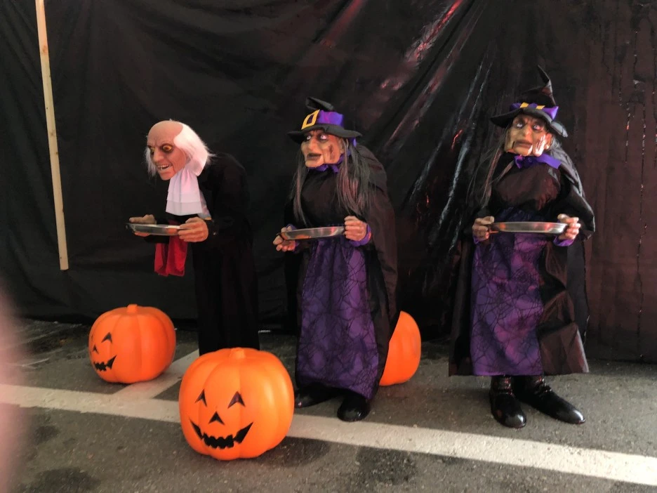 KakaoTalk_Moim_4H0j9ljaP6jSH5vXd1JUKjQolDnRn4.jpg?type=w1