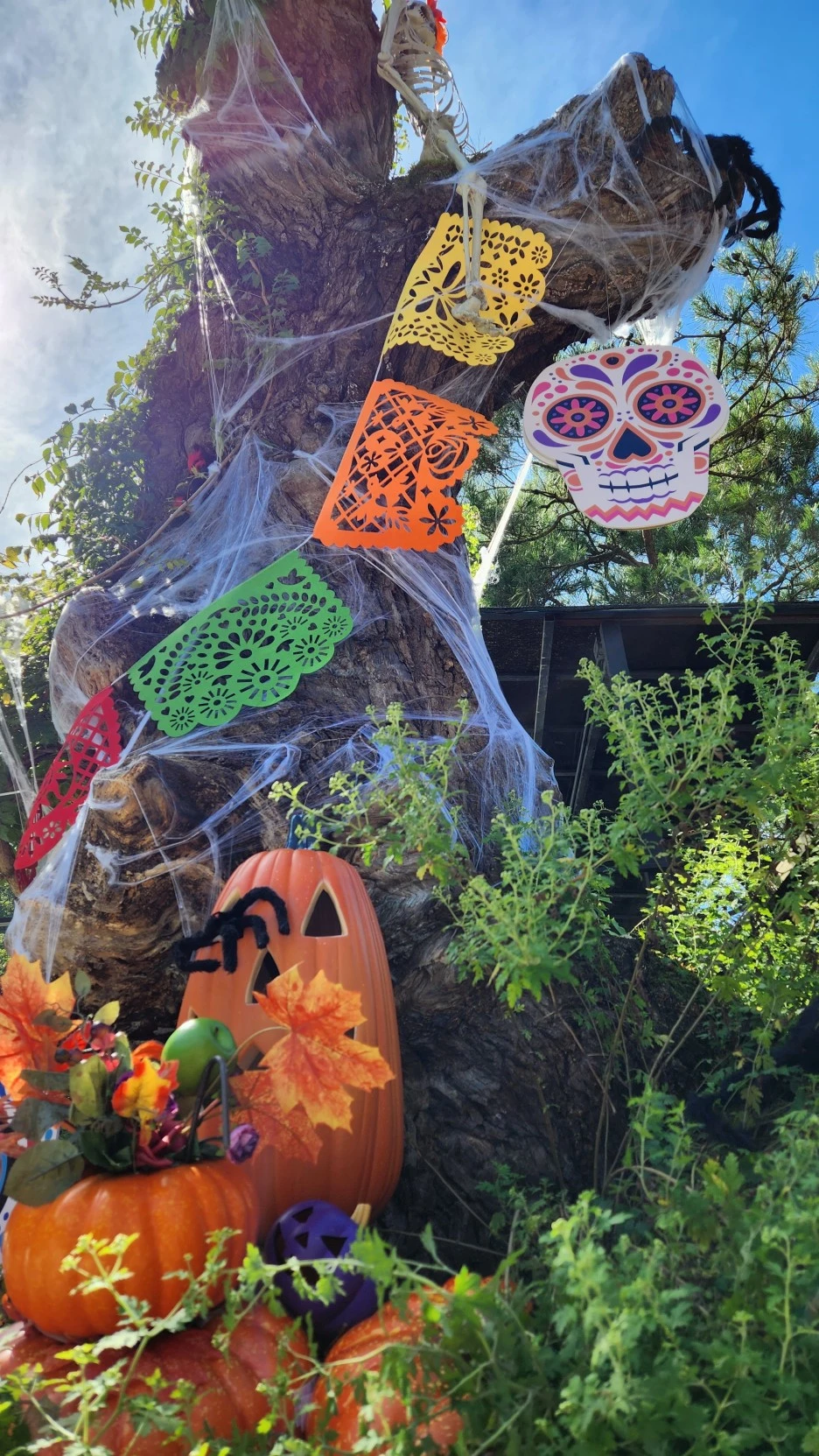 %ED%95%A0%EB%A1%9C%EC%9C%88%ED%8C%8C%ED%8B%B0_(10).jpg?type=w1