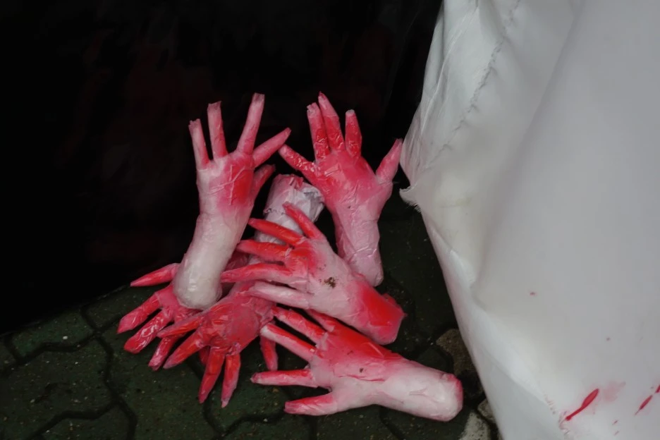 DSC08217.JPG?type=w1