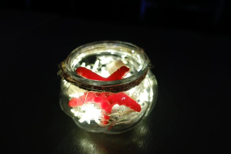 DSC02962.JPG?type=w1