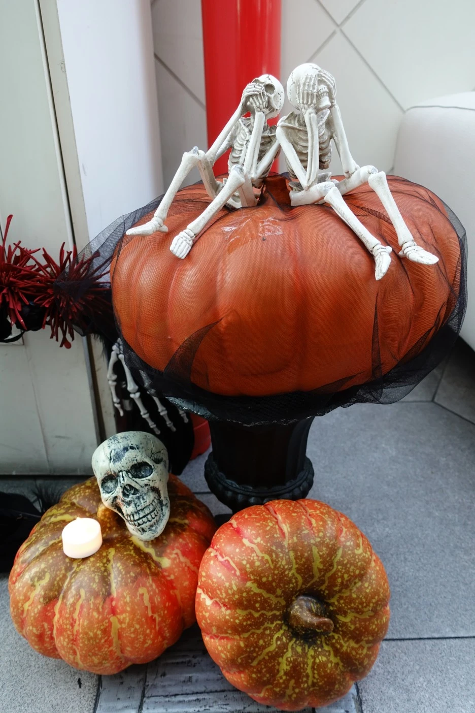 DSC06646.JPG?type=w1