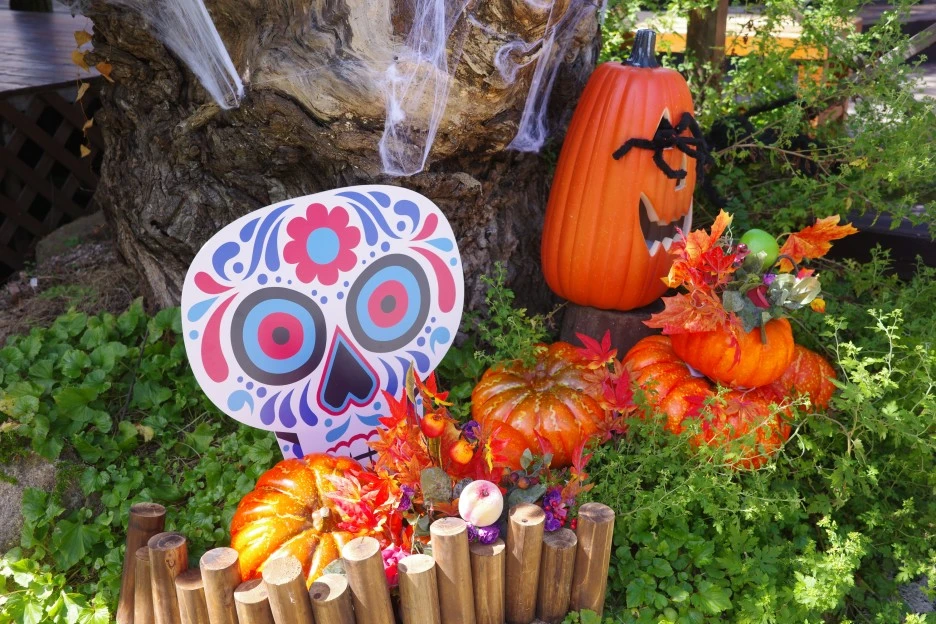 %ED%95%A0%EB%A1%9C%EC%9C%88%ED%8C%8C%ED%8B%B0_(30).jpg?type=w1