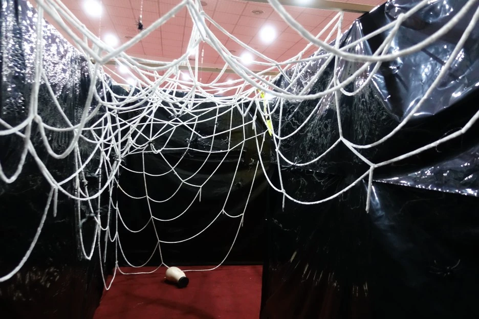 DSC03242.JPG?type=w1