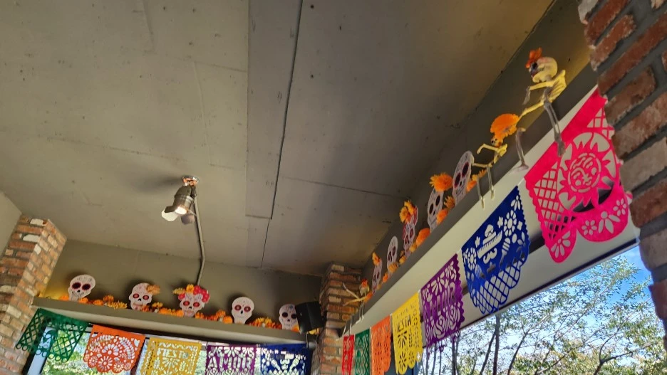 %ED%95%A0%EB%A1%9C%EC%9C%88%ED%8C%8C%ED%8B%B0_(21).jpg?type=w1