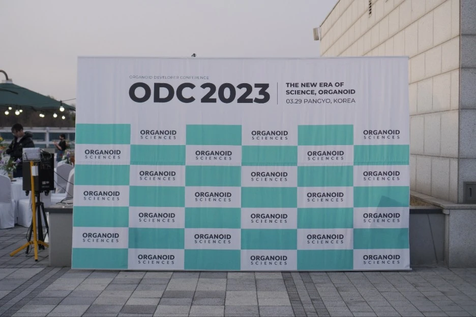 zxzxzx_(1).jpg?type=w1