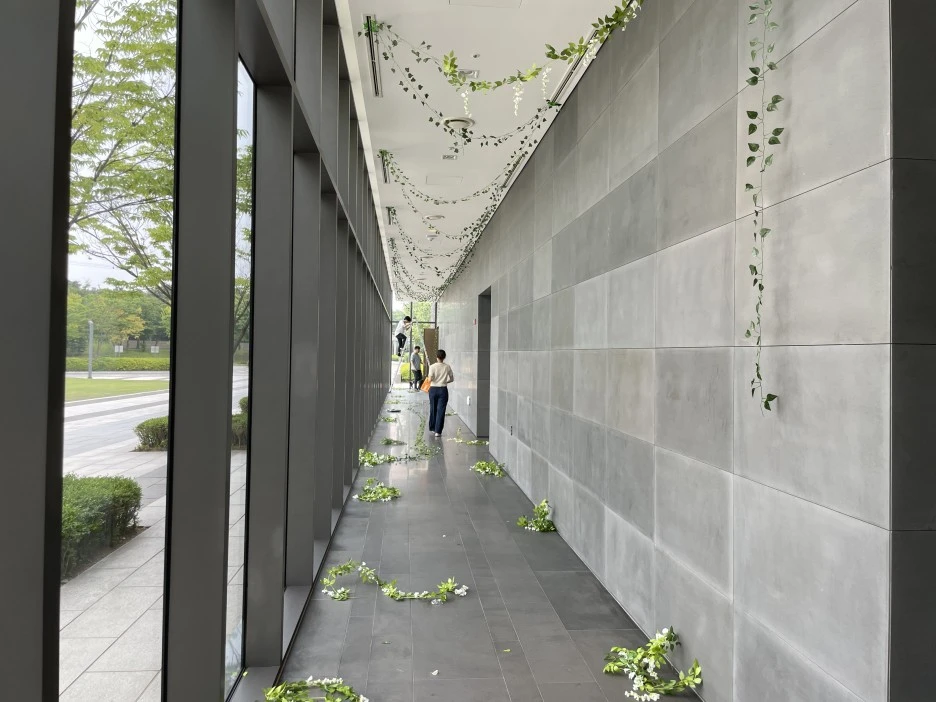 IMG_3811.JPG?type=w1