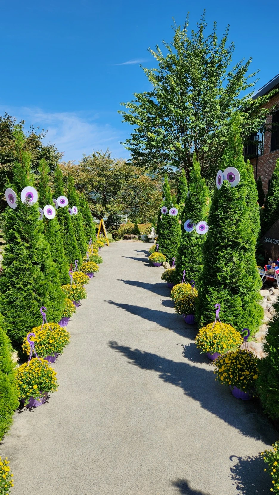 %ED%95%A0%EB%A1%9C%EC%9C%88%ED%8C%8C%ED%8B%B0_(15).jpg?type=w1