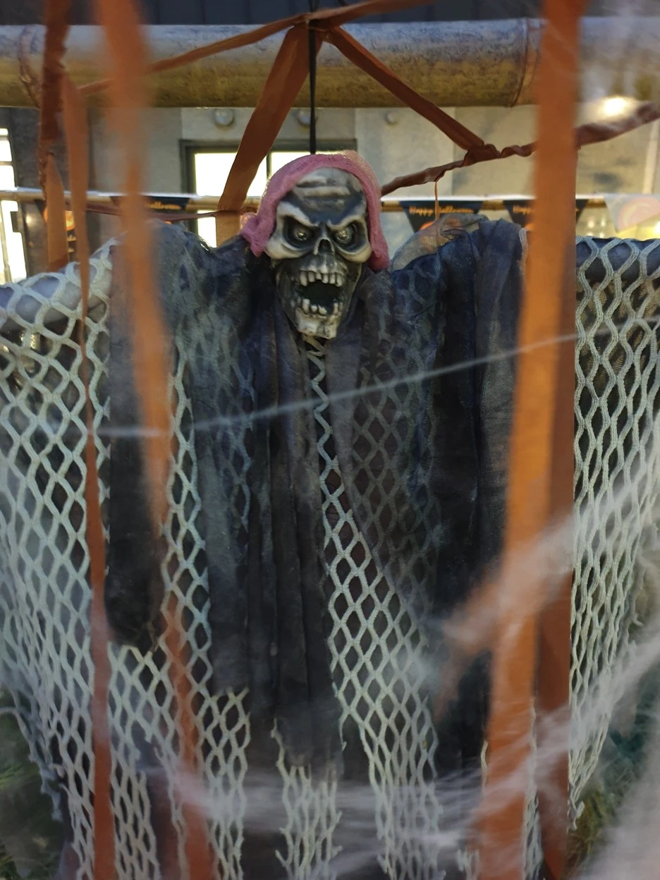 KakaoTalk_20201103_224927345_11.jpg?type=w1