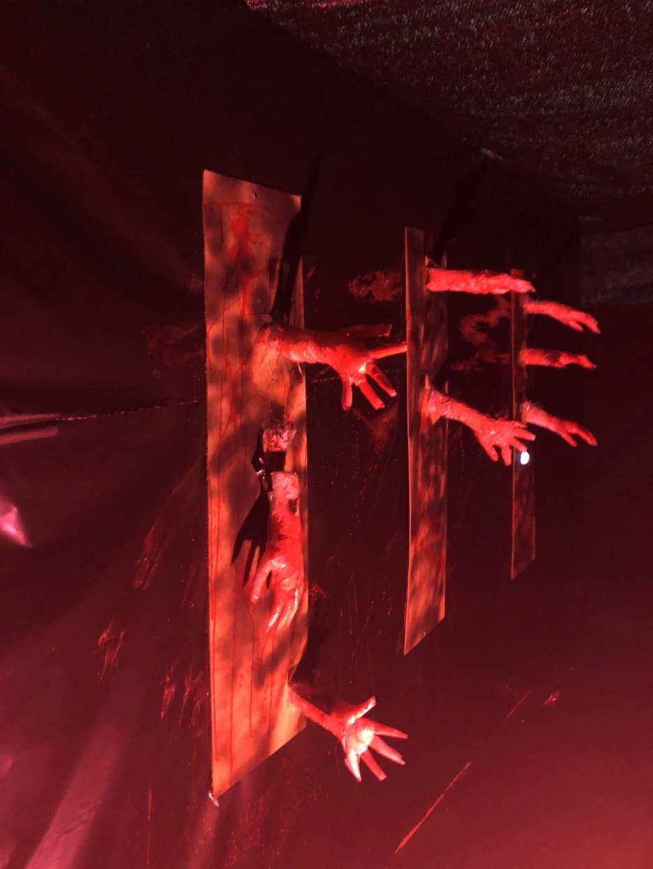 KakaoTalk_Moim_4H0j9ljaP6jSH25eNKKJbbqqM2s40x.jpg?type=w1