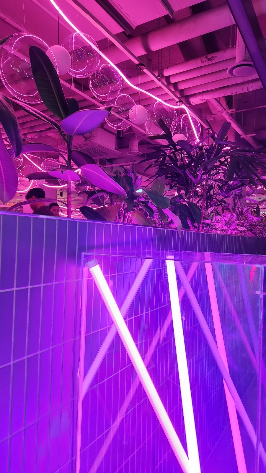 %ED%9A%8C%EC%82%AC%EC%86%A1%EB%85%84%ED%9A%8C_(22).jpg?type=w1