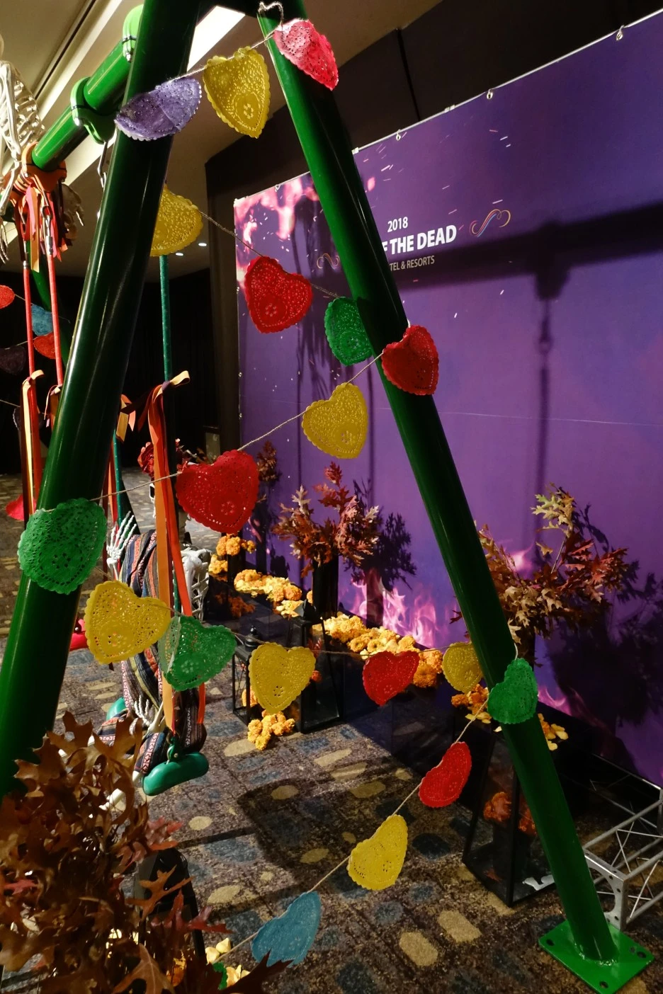 DSC06373.JPG?type=w1