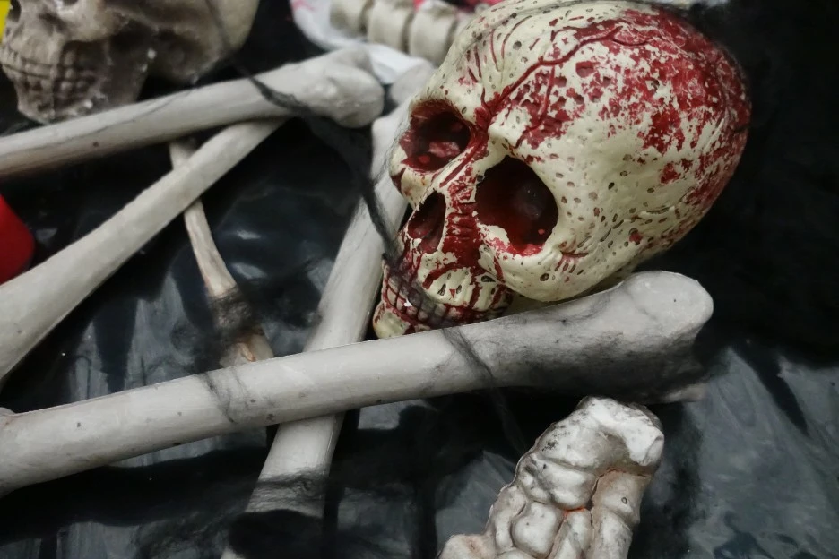 DSC08106.JPG?type=w1