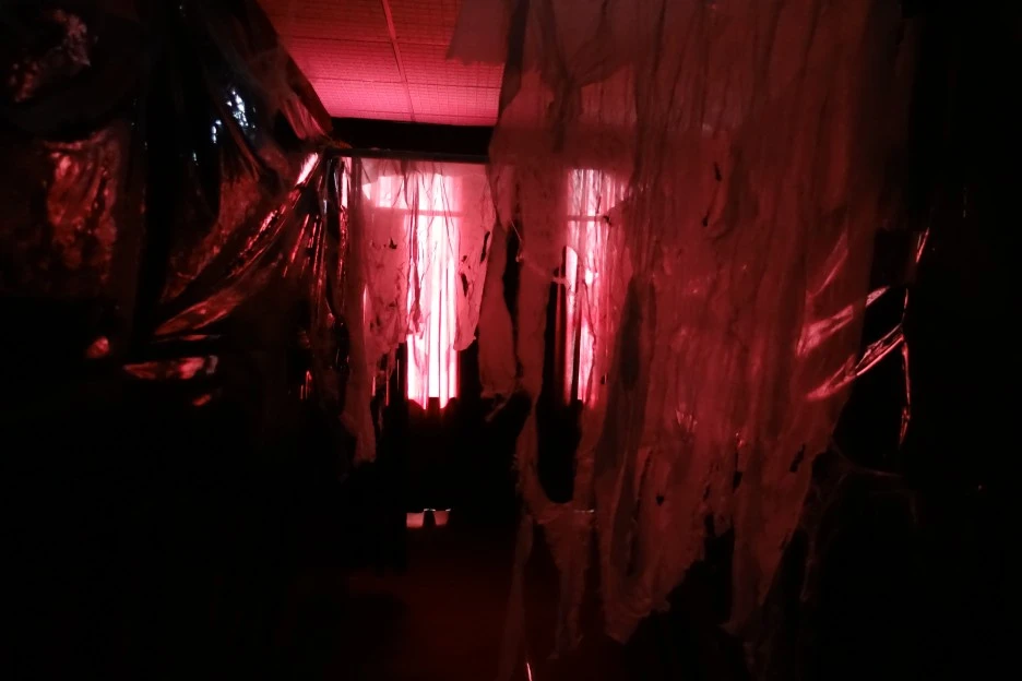 DSC03270.JPG?type=w1