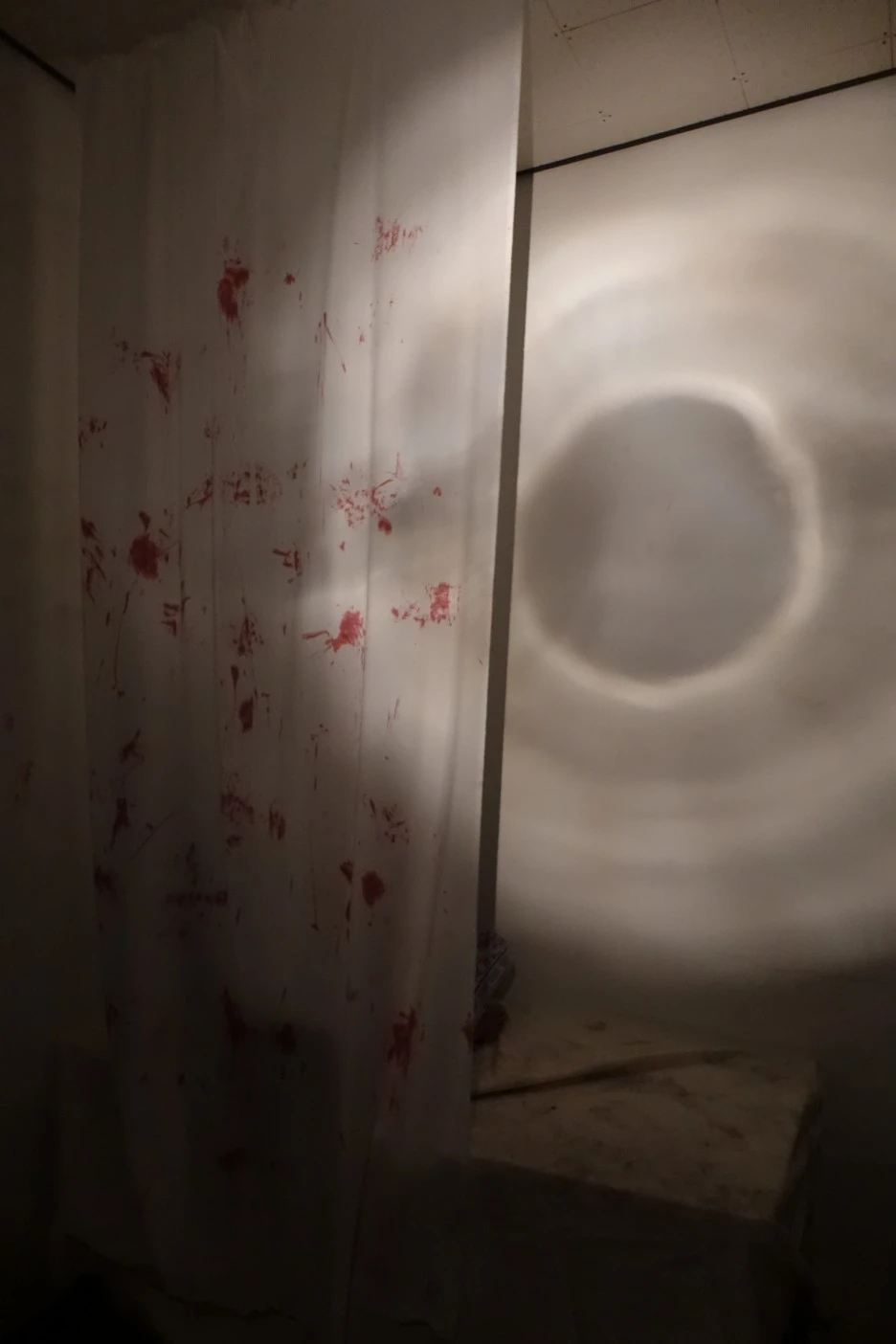 DSC03580.JPG?type=w1