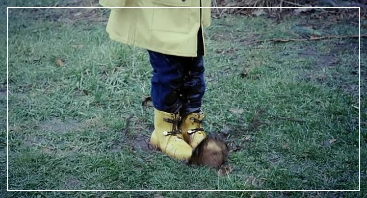 img_(4).png?type=w773