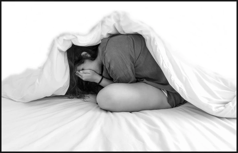 SE-7ad5fbbe-221a-4cf9-897d-8409546ed97a.jpg?type=w773