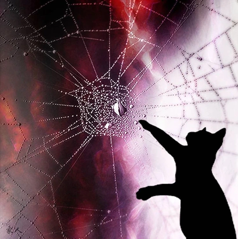 그런냥이 - 거미줄.PNG