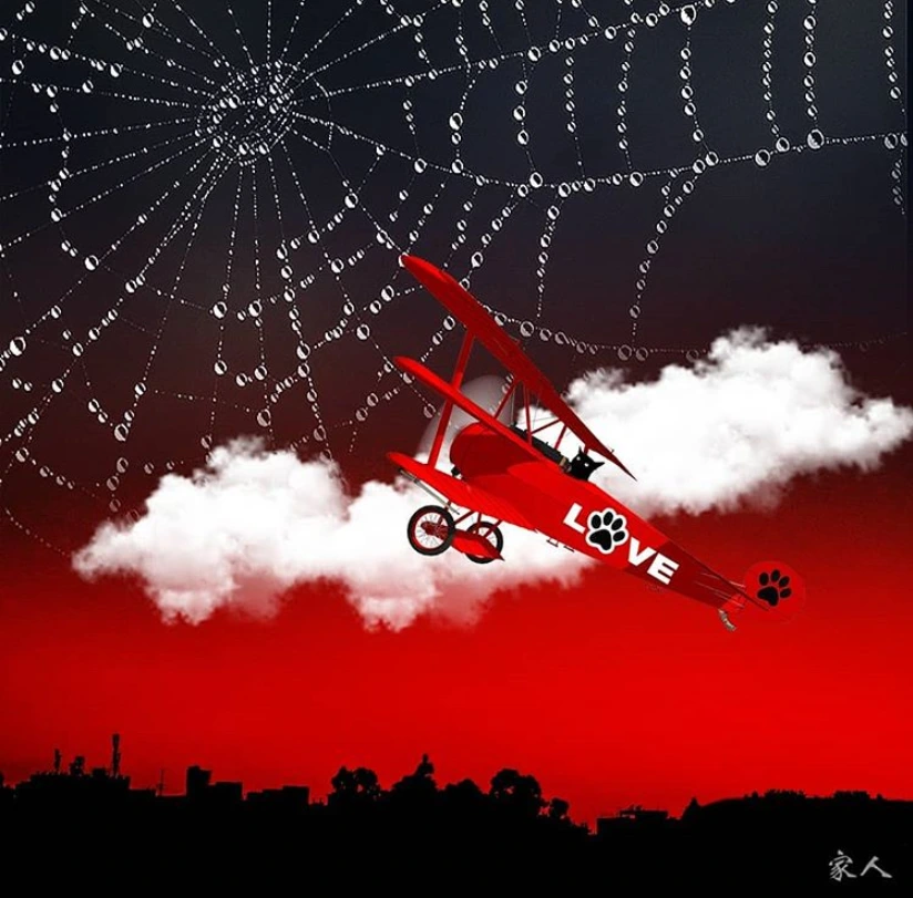 그런 나들이.PNG