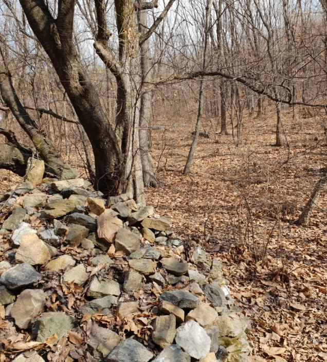 서독산 후사면 입구.PNG