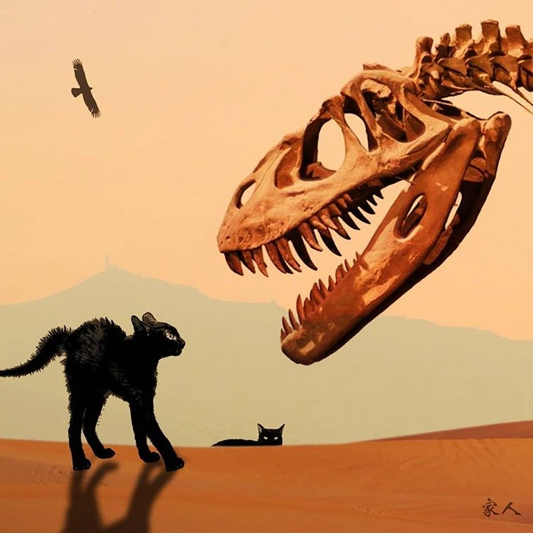 아기냥이의 경계교육.PNG