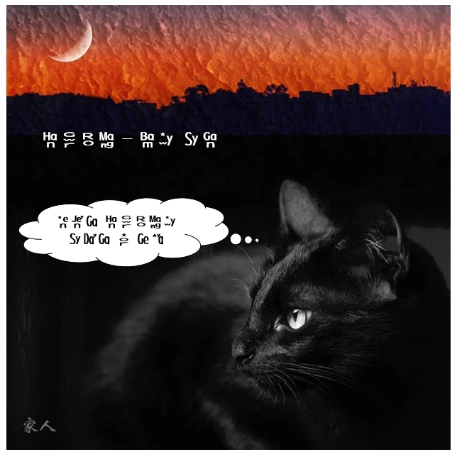 밤의 시간 -한글로망.PNG