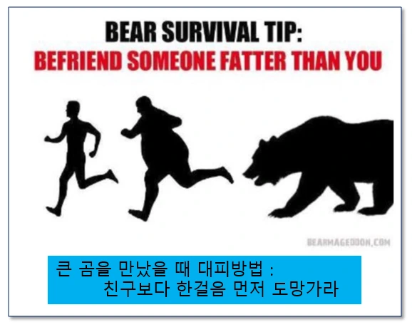 큰곰만났을때.PNG