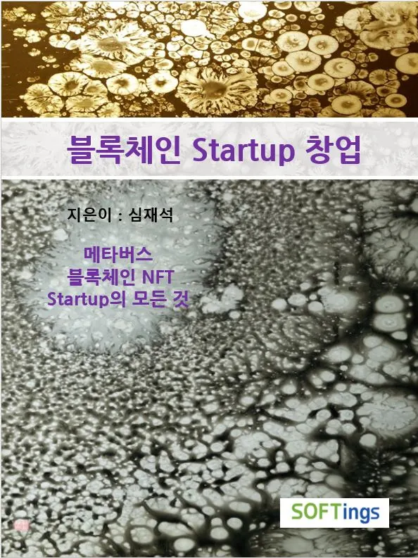 Snowflake -블록체인스타트업.JPG