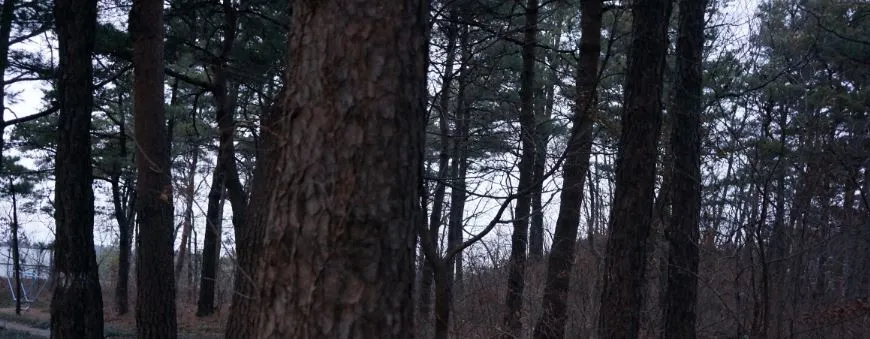 솔기둥 가로.JPG