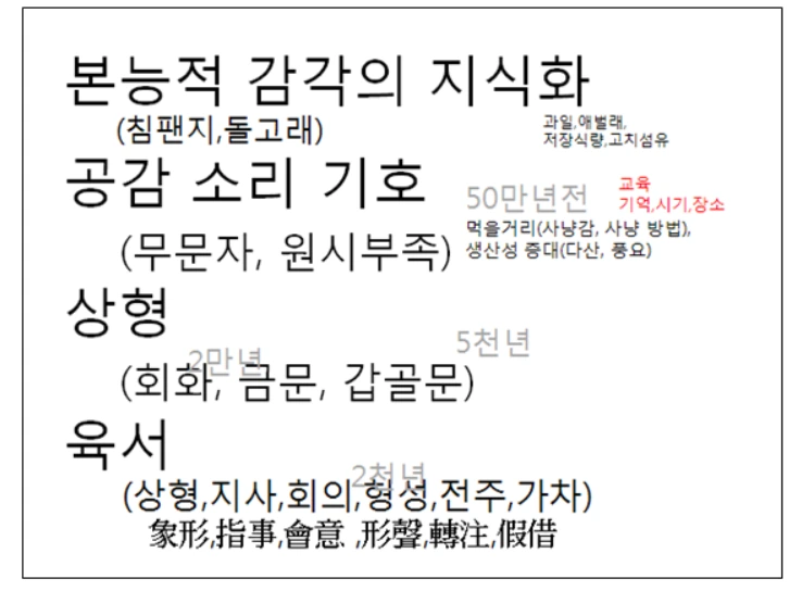 본능적 감각.PNG