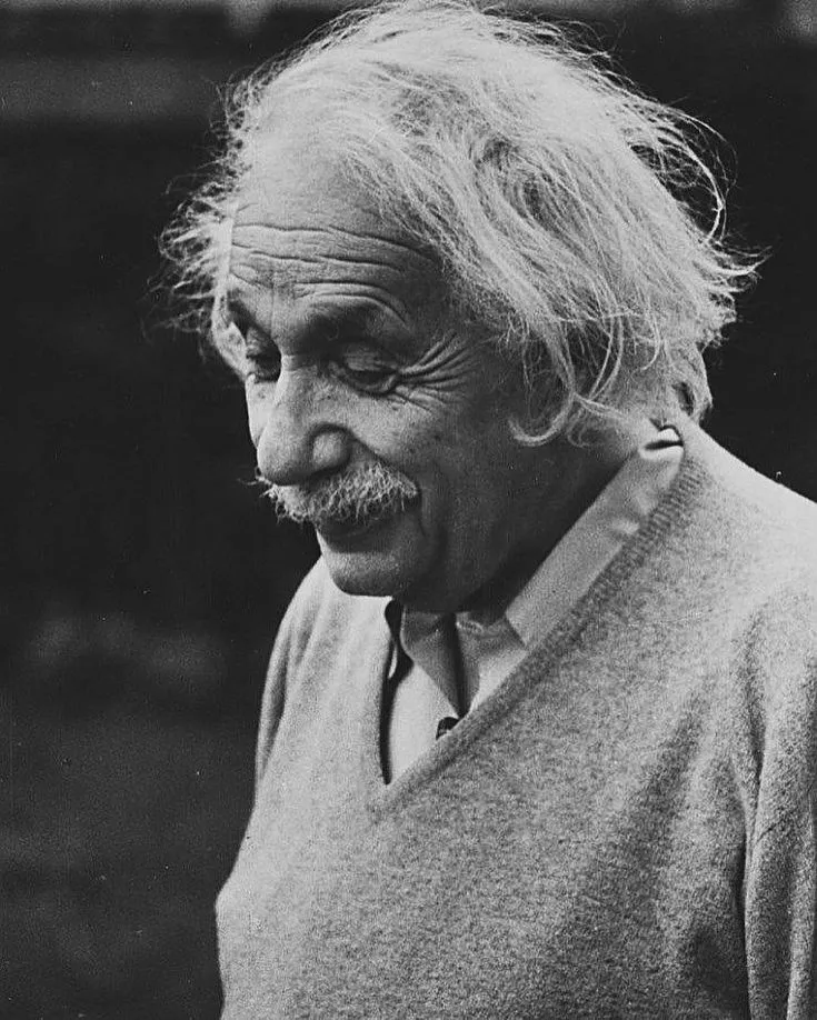 Albert Einstein physhistory.jpeg