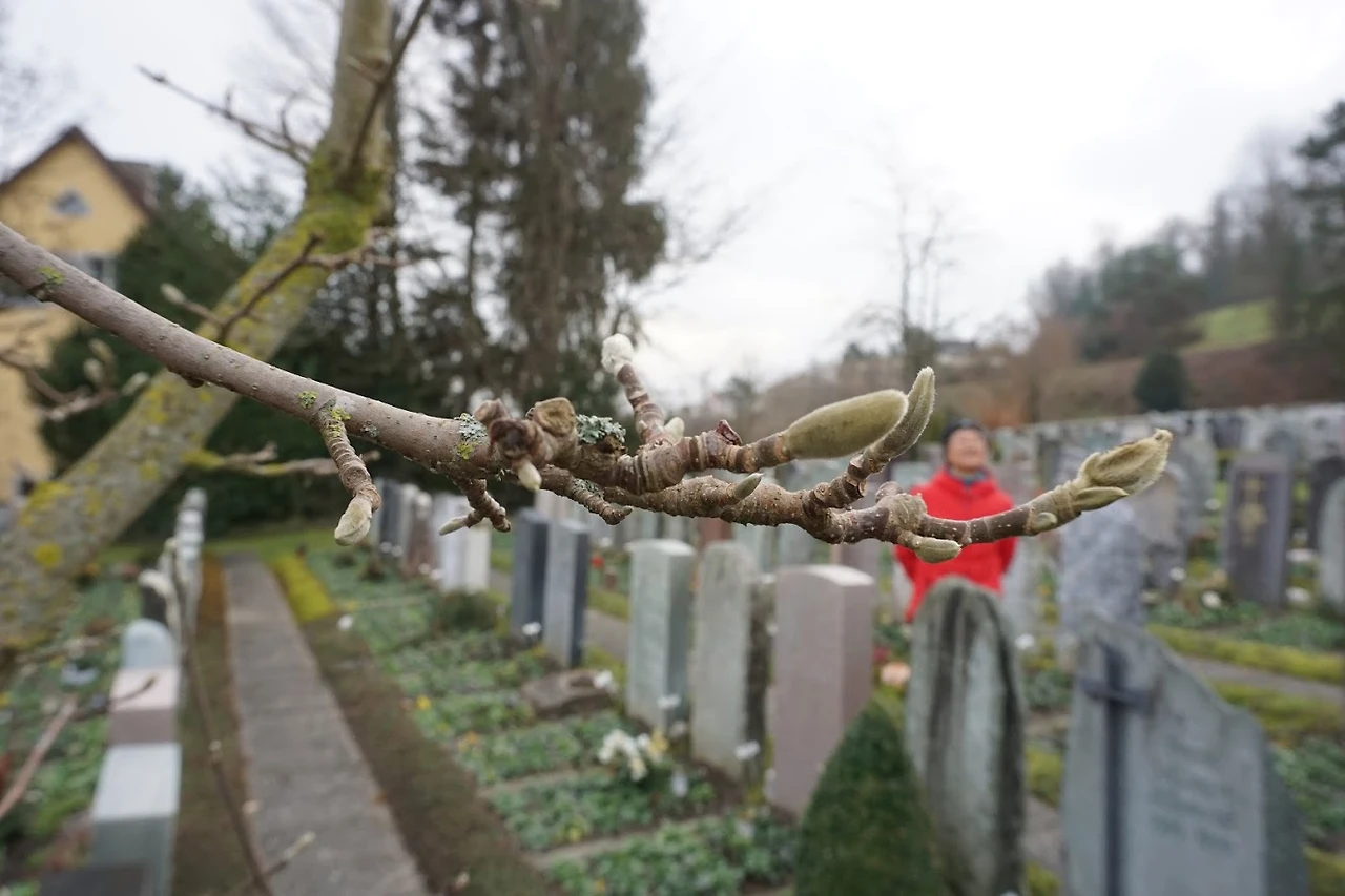 1rYDibfc7CeCvF2tOzOHG1u7AEW70-WXrkkc2kAyowrKuMPWZWzqet0-BWtuA0wcTsu3r1yCdR48ki6eVz8HXmdjXDuev316jMYsnVQpY_NgfRmKZ0FhdMR8XyvNCb_M05txrzAPm2m2U6aTMgqUBtPKAg-vCj0D07eHTN3xUc1sb4K9kIOHamJt0SXAi6nyXsn-ddU1dg5cRNzW8z_C3MU28EKtRQvUbXpGHlHPBUj9-h8SHVhcsxn3LDR-4WTmfRp75ughWOH5BALml_6auJ28u6faT6qEC-Zbf_bfoskfaXHpbKUkkJp0EA1fkFeAPkup5y3RVVWZ-gID_K-5Z1Dx1nwymD1HiPxrO_0UBOhFJZVyKIPIJNE-VJUvWM3xUmcdXIxDvQWN2MjWr81oRIAZz8Nz6UZmSI6pvhBuQalUuyeoLZvVQrpnVjn7OyRhKO7yHL5tDzpPX9Vrk7B9C43S3ivNBipPHxLpoU57pvLCrNVZhQtKFOrl9UNPa6zkdtq6JmSc91QCVI-Na5B4cof9IgPe0wqxNZaFU5xhrJsm-YqpsYGNd5ImZDlYt1Z5NTBjLvBwY7JcRMkvghFrhWkj_JtdGPrfyQYodK8KCdlOU6q0M8SgJarrx9rJkk7n5tLQbmP2mtPTIlUnNAQEqHHxGA=w1326-h884-no