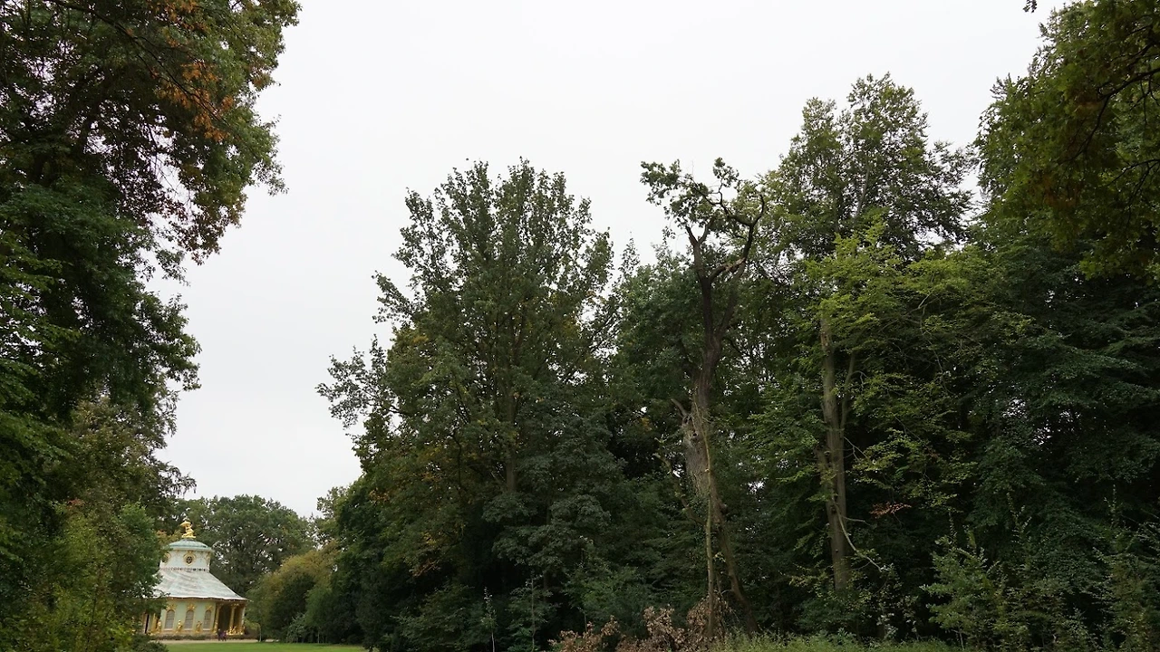 35B-JN3wNYBZbaySDwPzzhrGPRffSIDd_dTb8Vz5o74D_BsQ_YMDk7CwiybNRGLCdP1dzHAKF_Tbb2zi_6vRsoCEEOLFHoaQT0h2CLNaWUG_Ub1rfYGcn0TK0wfweT-HpEX-Vt0