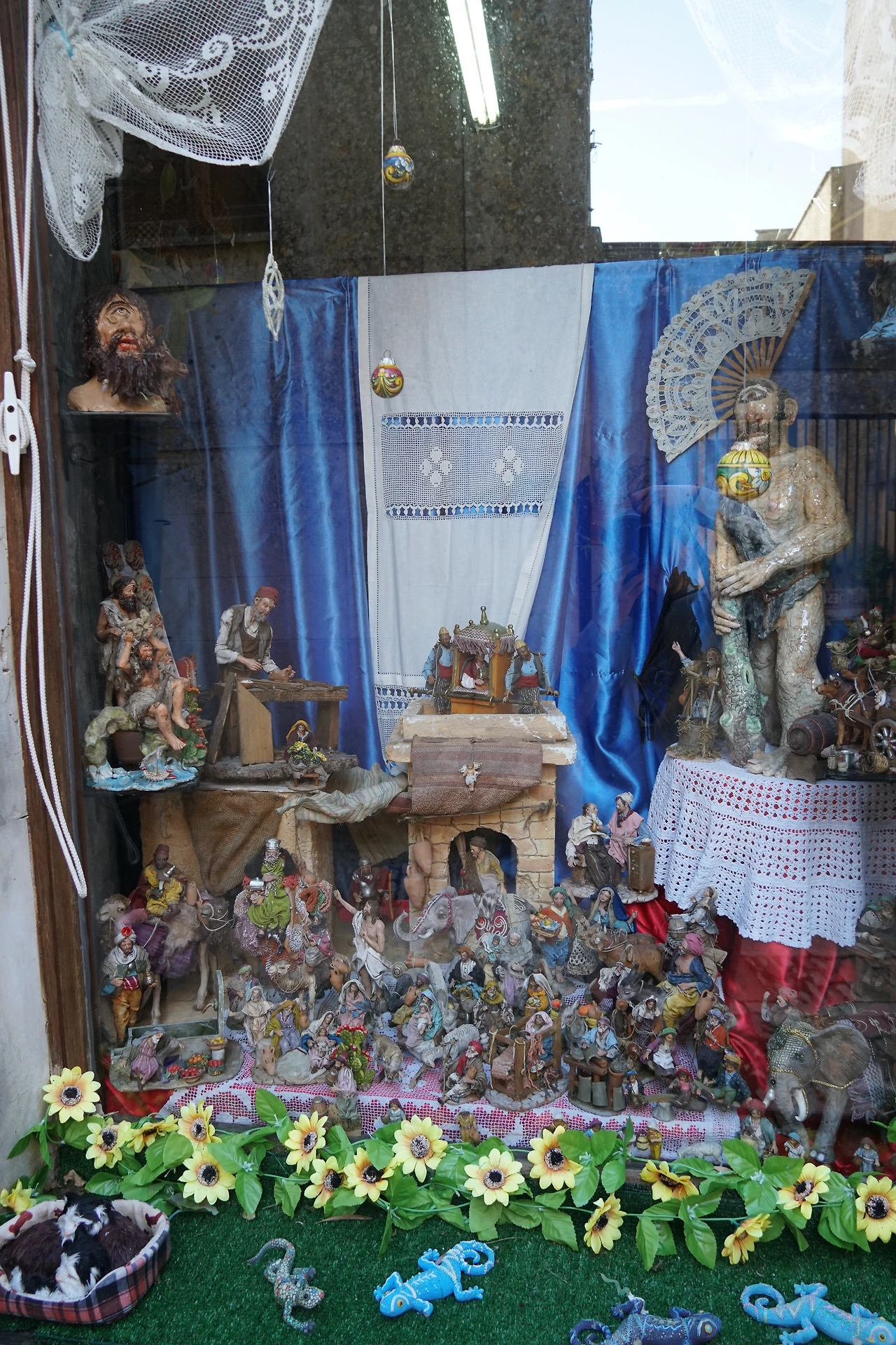 체팔루 외눈박이.JPG