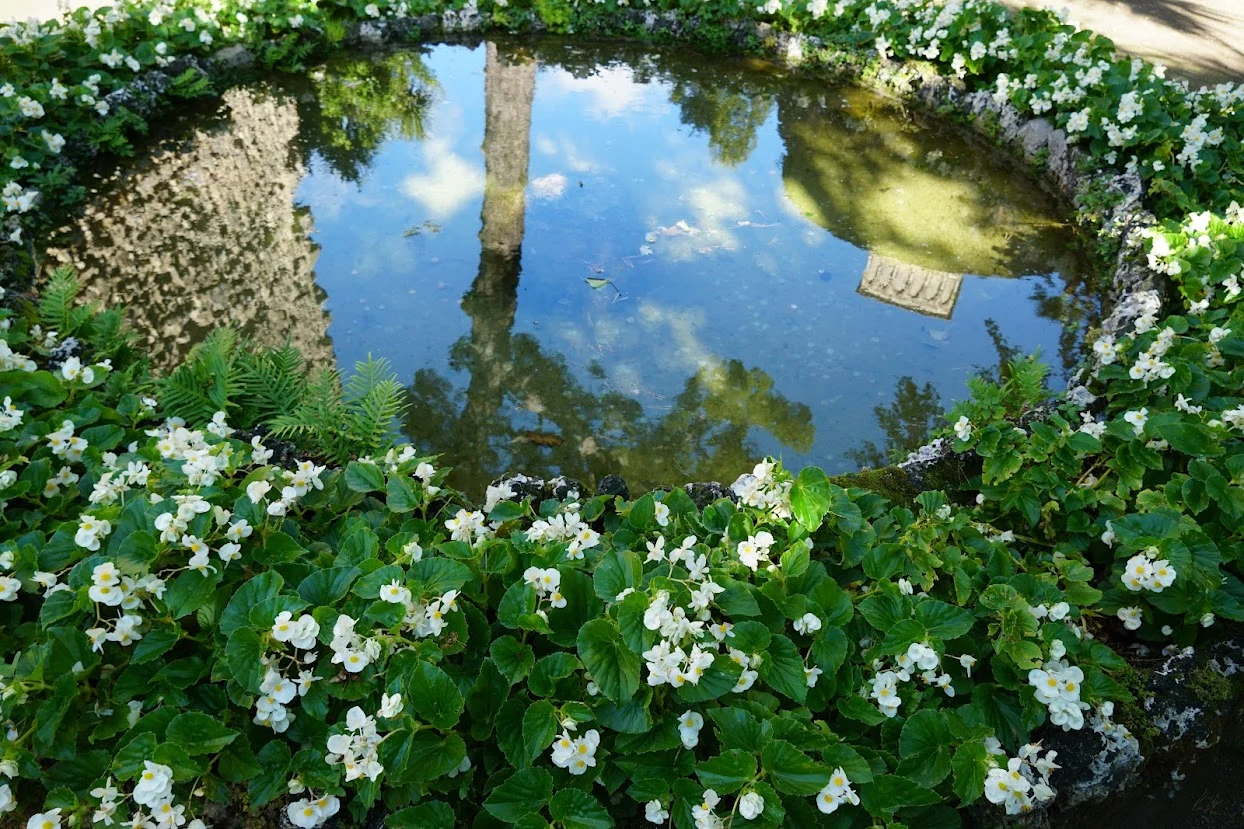 AIL4fc9b8vID8E8f7uEnReBMOvwjnnElOoq7ti554WvPKjwLCL1P2utfyf9Z86l_jIlkvg96rsnmI3dYz5OW_RoZgQ9TwbPw-eYItiW55upFGu1B-qu_abwehQRheMsWPhG_lANNS3sn1Te175shqqnpowUnVfb7VWmwjQoCv3qPD5qAP_fJlpbvOrkHqgLOS6i5-MrqPxf8OKuvjdtXYWT3I868877603sRtTDsxcjtZKxrwFA3WE4lulj5e4s7hJpB34PfPnjjU2ju8M-jwwZSgMIt6lhRUZpWXW1Q-1J3KvxydTIOZaIkUM8CU7TBAUTvEfkQ8O-adVoxzJQh0HzkumD10kxu-N91qmJnPIvrZDjPErSDG_grYDXFpF514OlG30U6fY-o2tVQn6roS7iJxtwEhUJIOwVqLnwH9UP0Q_ZZIcGIDxWk-QtYJgKg5KLWX2-fBqEkVO8Rz8yaQoxwZOsTCiGRFJnXxnXfCRKeoJpLKO4dvY45qkIhuKGV7wNv-m43IbmjXUYBtN264VjHyzK4swsaROb5hNwxCECkcmF6U4sOsPKmUUMcvq9S98tVDjxd03CdXCW700wjeqHAklopmWquT_EYAk7wHsvdE-IpAITECkPS8O2Y7hDdT0_1RO1yU8htJ17BHKAqXcYSj6CAgkW0dDEdZOP0TZARKnW0tb2zBnc0kXiiOe_SXlYUxKaXh3m66dHzmYndmUY9QegWK-yCS4GsHzJB-xfN7kToRU-RMm54kPTLTNX5MPrFI6n6-NnC0oCNk1lhmnMFqqtouu3l-ij3BWTYQkITN5aEwz9mC2knXeMdr8ugyfNIajmBofixo5DsF9u1pHrhWhj_3hJwgG2tkDNeT8WsMxkBTgl_uSNLuI2hjeKGHBI8Z65NBnbPPCpyryM=w1244-h829-s-no?authuser=0