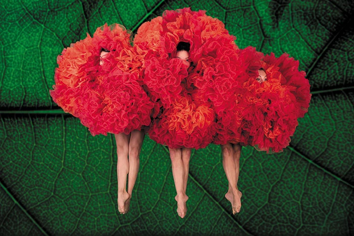 oqLMSwJB5AcAdQ9ckGoP94pkhXYEITfHZkSiWvCdJ2oNq8gpFVRecADi6P70XH0CaXv3Tp_NRdN4tK-FojoLt9uCjflT-s1zYmwggO4bqzr9Q2KRdQ0WEQt7P91nlqrRZxOwGdo