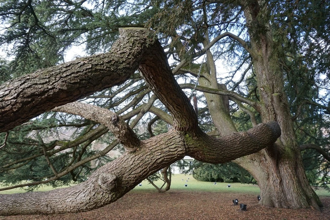 2b6SFSnYQYmpho0q4HwxI5p8e5c33pYKzgRk9htsEtL2lAsOdYQ2H3P0KJgBH9RozdN5yHXWwZQc3ND-W4q_JrQP_RywSiD27Lq_y-LOGa8xN9yBQKlkrB-SSFD6QKz998KhcSA