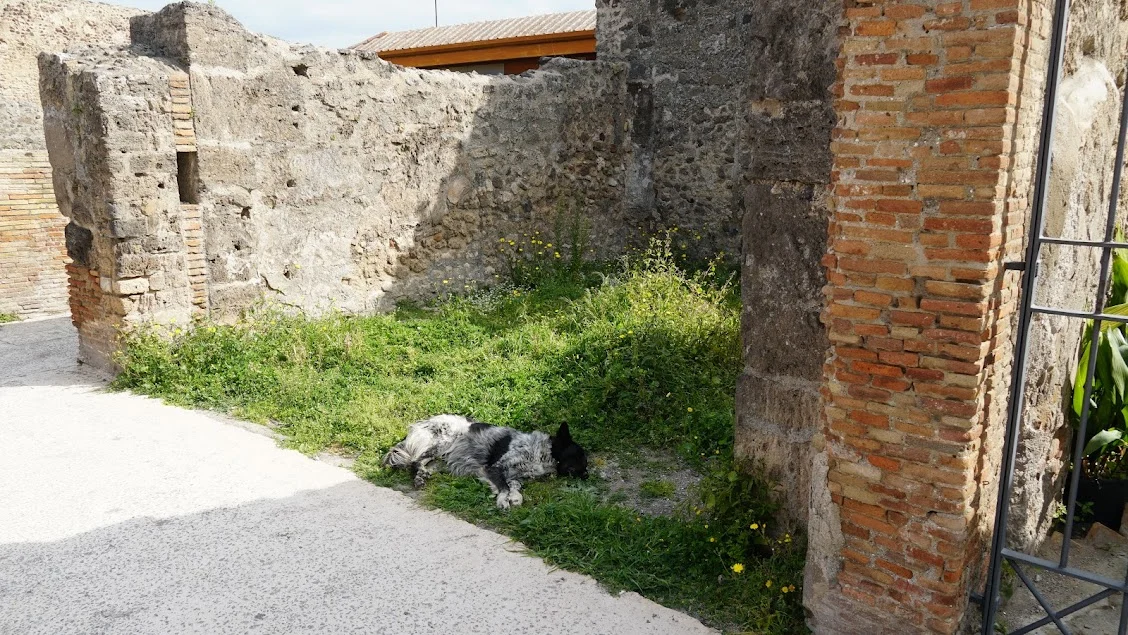 AP1GczNpSShNCAL0E8aaaGWYfPvN3mbRXWwXR61_CIXd7Y0FZAksDRsRTqRSijXLGtElIFb_yR4p5uXFwTW7ej2pEnZmsnybGRfra7XoG3CtFI8RvzrW_q_kKFuAL4M9qILko6rFCSdlPtiEITBNpITtt1E6v8hSEqExKa519iNiOju4lYDhaYep00cO5vC_K9vpuv46e1KS9PyRtfD5mn1lO7IeLYHtY72NcGNO6RU0pxT0MLPNkDpApgV5sWuZ_kXbcg0HUmle-NoCptnE0D-2qM6pKs6YB3Zw9KvV4D6BEUink2u_1QV-m5BwXCk1y-Tacgr5DQScxOrDFRvfWOuXnIbULe74OL1urt5Rdly2FPTavP76bkxUKjaoCBPaXFsRPFSFaM1WXHIDmnQpO-KhW6qSnq4jT6WEUQIVEPVpR56buz8XIT77YPn7HnL9HkG5cBDSURLiK2JXguBKYXTO3pwD_iaUPqNeO_1-xKbDryvMohZx4Rc8J0_OrqxR05ciCvvz7UJFPiXbHK7v_IQA1yHIDPMaMipHsoD1lv2BJPG9vuXdqB8o8D59xGeA52lQT8enGCAghv9NiMEZB0g1Mj35Wq4sGNe4w_bISYgc2iTyZaE_v_gKRUpDzIOEx7zDpEpd2s7tDZezG-OyUGn0a-WcuAqmYFt_Byi8-aS7P4PEnYN5aEgDb6FHcIPXLBQcL7yV_M4giA6MYNe_gH4u3ELLSZ5J1BVSREN52lL9vQ0BfpizUVW1OgmZYQihjVaafBA-Sq5Z4YrPoVvWFcuhdvsUCxfU0JEbyaCZdBhqRU57sujHL8HLxSENXsb_WzHup7v3nhgD3Qs_2LecMLLMC7eeQ_JZKyv5CsCcFnje91sHgjcs4rAzZr-fVv-KgMzF9fyzmONiJAjp_ONZRiA=w1128-h635-s-no-gm?authuser=0