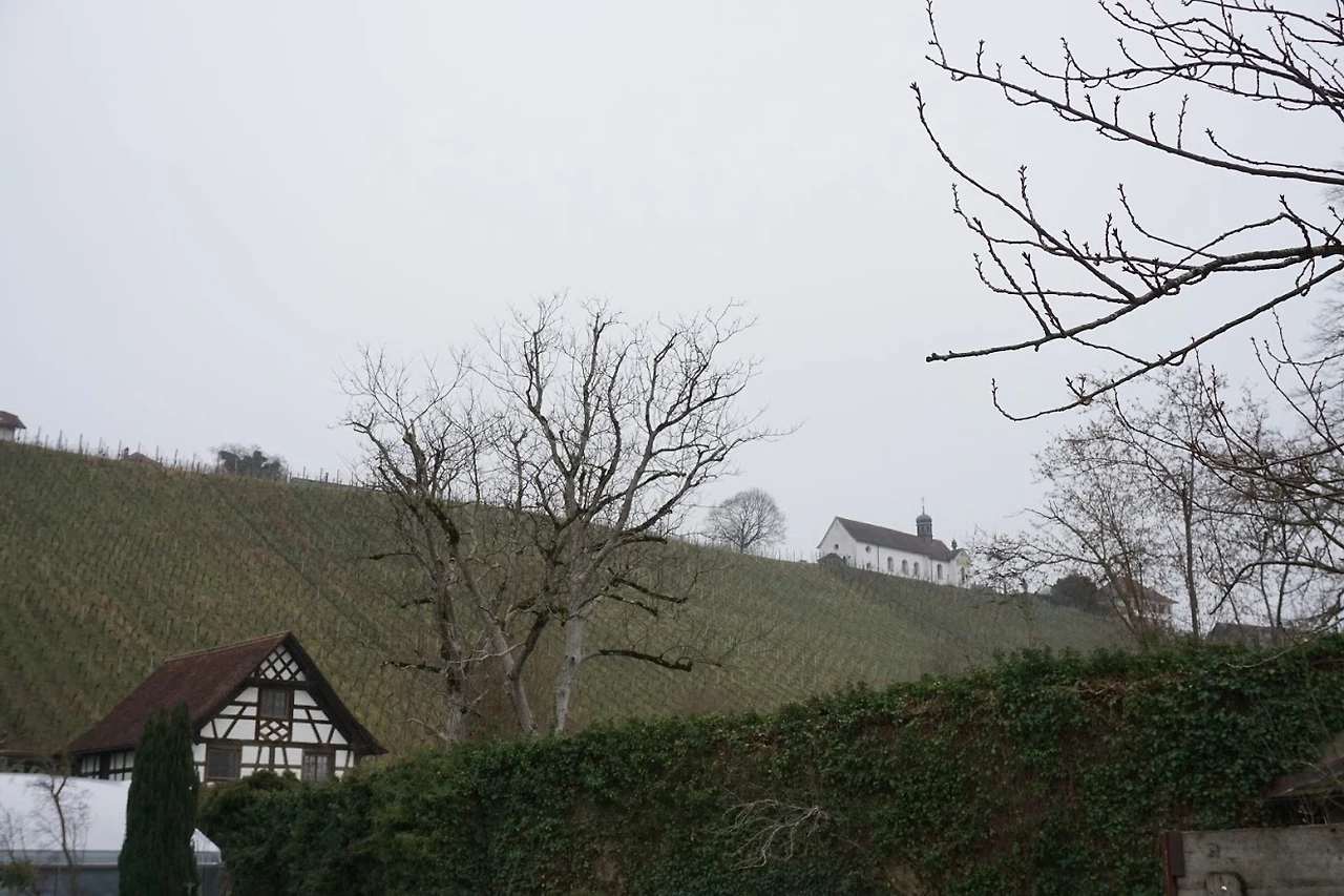 uYengu0O9cJmZPh7w6P1Dt2IQqu9rBhIRNHqu239yplWFyFumeBbbEMgHfRnJE_3MnvXsYSB5dlxX3YMmlBk0wXGN61ACcnj_JKPRbyeyn36TeC0VALfUVccTFhYuD627jSGDEgI1RWLkcEaSeFkxBqNszTrvPGB4P7WjAzLJVXByFtLm40Uo95LxIOFBBjvam9ec3VH3QfZCShex_YAWOGdhgyBjx7cf-ZomOATraf8vofqZ1YOUx-5Qgt_1edAyg1xShw0TRUYTmcI0JSlJ4XWJYNBxBYgmLP5lPkUCC-kvQ9J8BGvLtLJcVCQkzcgZdD2uNKgHQWofrBn3ExTk9TlHrWNCPpA-cY4AP7qiBB9_G7ARNwSgkg9ydPR_OdgExWKb2tHdwPt9PH1lPJwS1Rqieako_vvNsHcWyvEqvjqcwl7bQLqZrqrtvS_bGRWtzE41Pm-rlQh_iuJ5iSCEpfBhcEKze9gjmTBCz4fpmZAUGjGBeKXwWBsvaaCV2djWaFiR4yzPG8vSz6vr18Wd23qTSciM9GC8J7IlIlXPSFabIkkk48HwTkM-LnP3Kl-wJqm9NfEkYwV1GVn6TNsGDroXkRBfc_dRR6oMgPl8BPT_bfixuLe3AcG51gNyDfZ5jMETCGma3okaBADATDvuOiHVw=w1326-h884-no