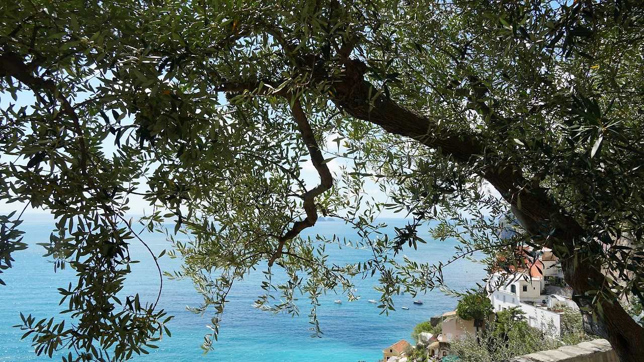 GGQgRWJXinXOETTJ7vkUYKW3aG32AyBpGIC5pgk9I5pHlJBCvXFInNKWK-GVTDm3N_ysDbSoQfuKUttXx8qV9B4j34g_-DUCXizWK61RjbBElrN0CdSx5PB3BpJaC9lDrhmhiXM