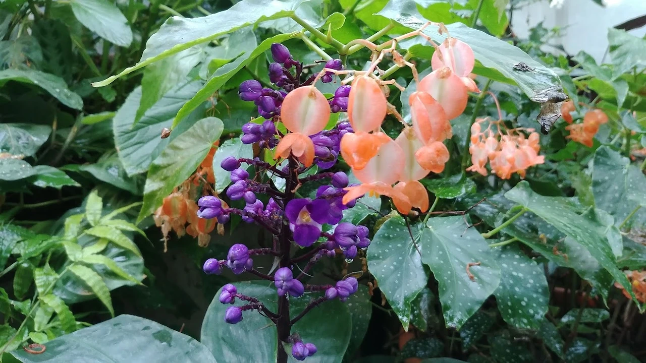 OiL1voks2QrCwEx-Ry2da-8iFUWw5IgLTVZuClwmH4bPj5VRFloKztrHYY7c0EKlx7LKeLaYRGt06krf3rvle8-eJ2-OHlsD7zIMkItKEy9ixxRXI-eZEFmK2QD9XXzbf206Vbw