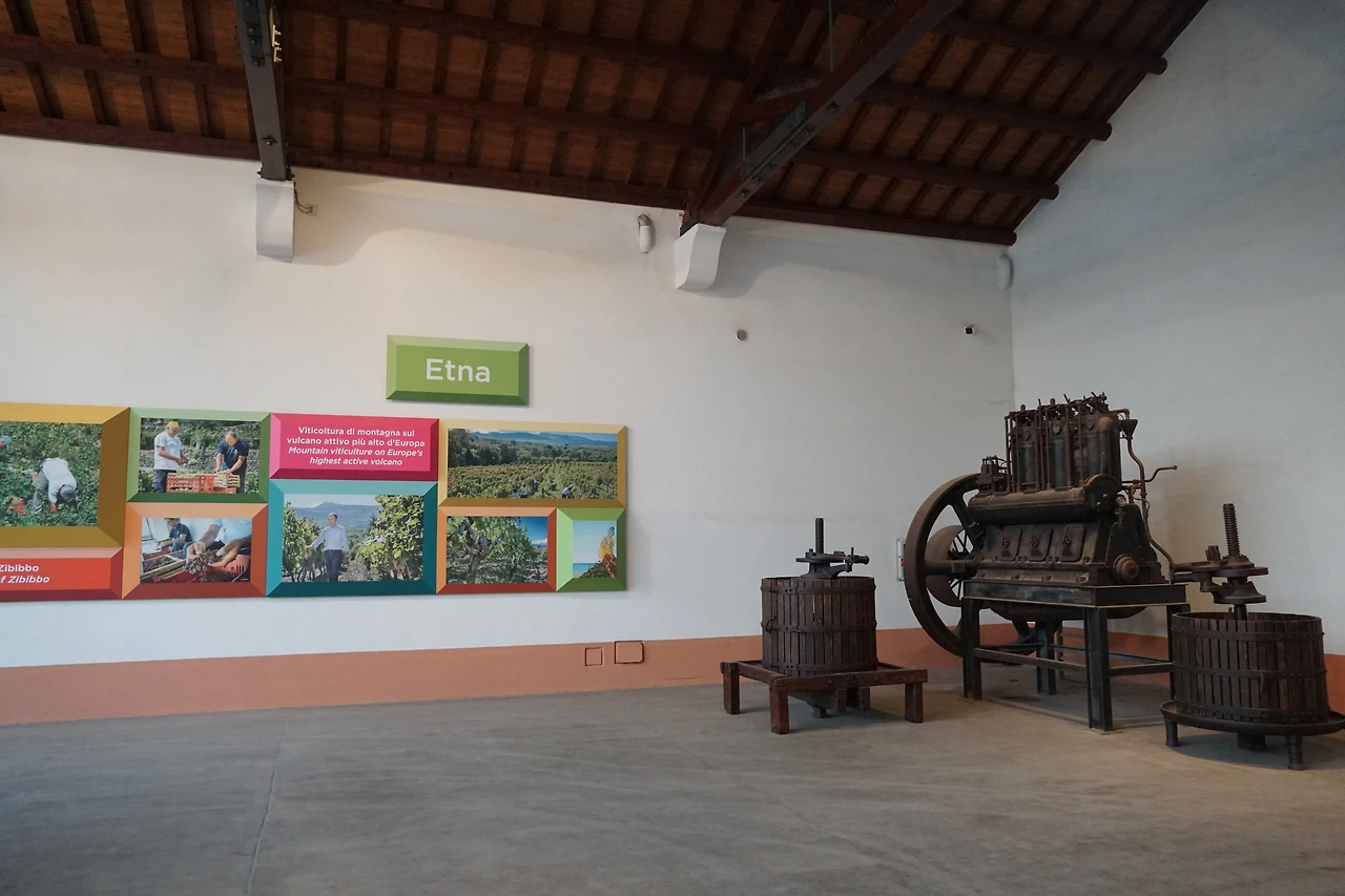 돈나 푸가타 와이너리.JPG