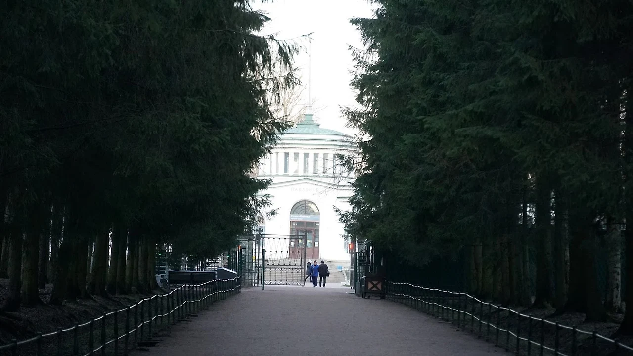 3-66ZItvAXOkJc-f_UNICuLgfBaSbUe-J77xSwddQ9EeJTZBJdMuprjx9R33XyTkynT805TmTX-ig_HrtRtdIlkPaHstIDYmQ-QwSlDsXIN5mkOyvurkxcEFG219ViBKAJqStoajDYxxm023YAqGns1kwH6nn0gH-eqFcDAmCm0T9J0LBTURlSRGycIss136mhGiBYkKeiLf3AJNvSRAf2qxPJFVoPUN5xdxXp6rh4xVcPXTpv90yC1erc1FKIHeguw0-qpWE0NLsHYKaMRmw70FEnTXHbZobtU1kxrQuOwQwb5ocUHg6VPTQ8fVoorzB3XakHadheZH9oP39H9nCxWNvesVWs2_76qEwa66IIw10ziuE66ra4qqxpRgnge4r5dlUlN7X7wlr_kN7l8xPg9JXtOStnMJQEhipz_MF5OpvfYtXPIYiDQUl9kUMg5ti6sgOQUkgjZ1wkV0QE7PadH0V0CXfSJzQ2wSTTF_pwc-3soU3NMtqFppI2UZzjpJ3XDlcWTbngAaj0pK82GlrK7X9v2p0c8S_CE-OZsLhjwcVJPNaqkO5qHhi3cPaAZ-IJW9t08qzxok8DOBYFwngyqnUlrXebwqPEfuCM7yzrntcLIXzZFRQyJ-eBoXzyXfhmrQljBPCbRj54ZoLNwOIfsJF-Hdy7EzScU-8TgLZ49MECgG6NPptJt7l23F9nzxe6EbSMr_8zajiiFuqA=w1532-h862-no?authuser=0